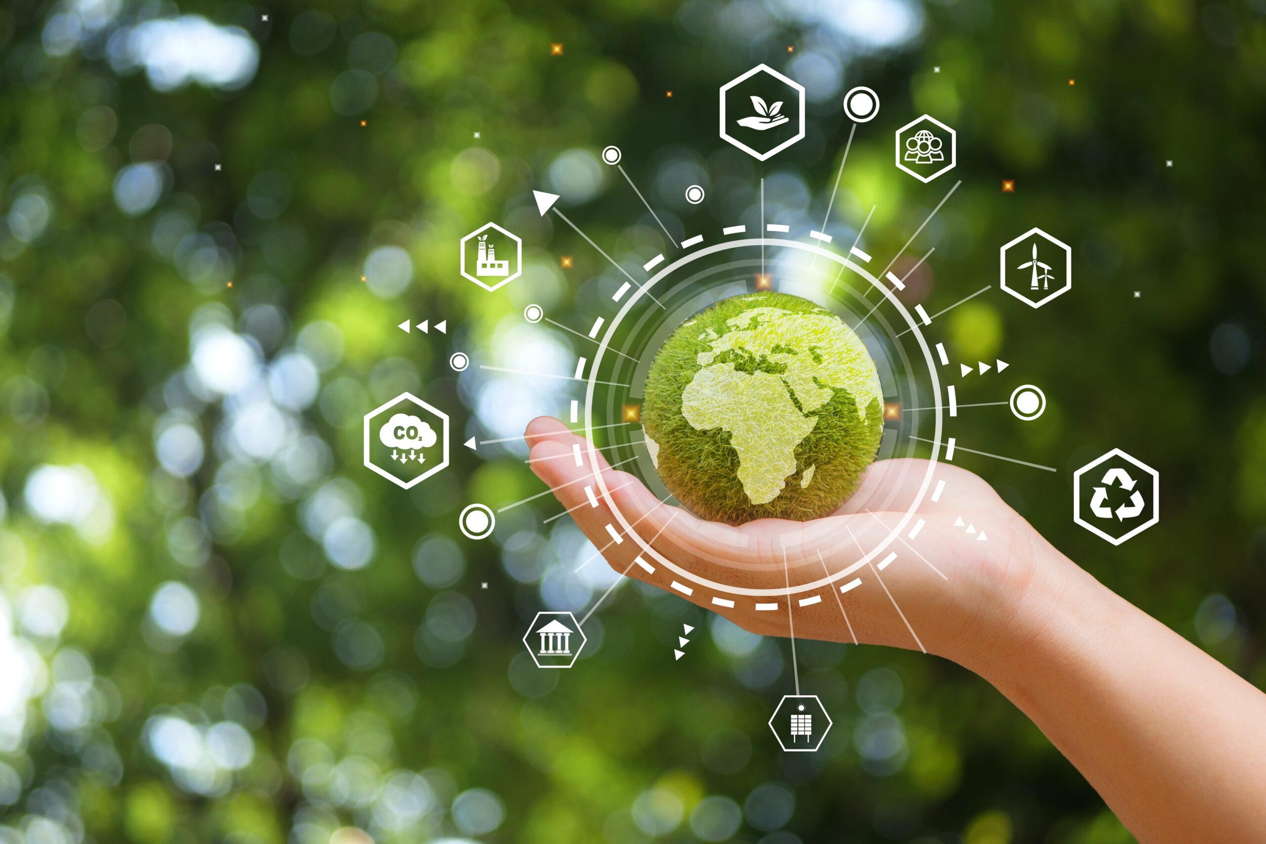 sustainable packaging solutions